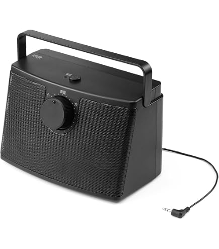 Amazon | JVCケンウッド JVC シーリングスピーカー PS-S20B 黒 | JVC